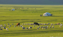 草原视频,大自然的绿色画卷