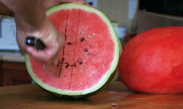 西瓜小视频,短视频时代的潮流盛宴