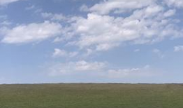 草原视频,大自然的绿色画卷